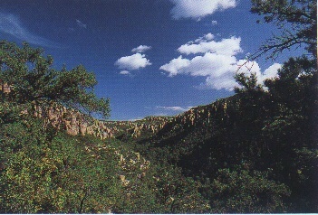 Die Chiricahua Mountains in Arizona