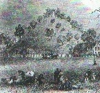 Grabh�gel bei Grave Creek, Virginia.